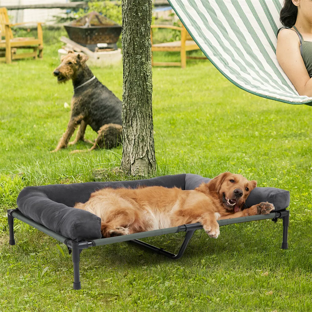 BINGOPAW Elevated Dog Bed Mesh - Outdoor Camping Dog Bed 评论和价格